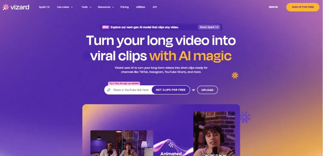 3. Vizard